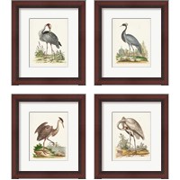 Framed 'Antique Heron & Cranes 4 Piece Framed Art Print Set' border=