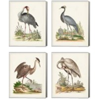 Framed 'Antique Heron & Cranes 4 Piece Canvas Print Set' border=
