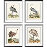 Framed Antique Heron & Cranes 4 Piece Framed Art Print Set