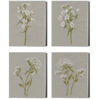 Framed 'White Field Flowers 4 Piece Canvas Print Set' border=