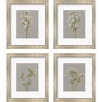 Framed 'White Field Flowers 4 Piece Framed Art Print Set' border=