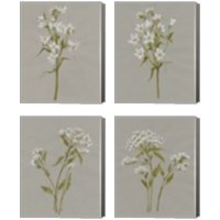 Framed 'White Field Flowers 4 Piece Canvas Print Set' border=