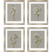 Framed 'White Field Flowers 4 Piece Framed Art Print Set' border=