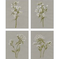 Framed 'White Field Flowers 4 Piece Art Print Set' border=