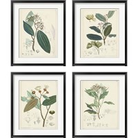 Framed 'Vintage Verdure 4 Piece Framed Art Print Set' border=