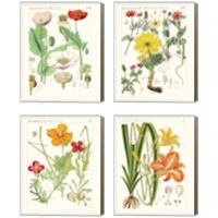 Framed 'Bright Botanicals 4 Piece Canvas Print Set' border=