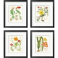 Framed 'Bright Botanicals 4 Piece Framed Art Print Set' border=