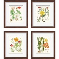 Framed 'Bright Botanicals 4 Piece Framed Art Print Set' border=