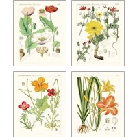 Framed 'Bright Botanicals 4 Piece Art Print Set' border=