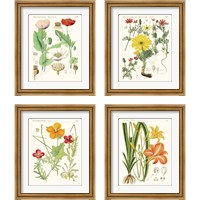 Framed 'Bright Botanicals 4 Piece Framed Art Print Set' border=
