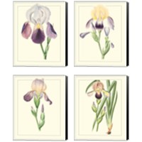 Framed 'Purple Irises 4 Piece Canvas Print Set' border=