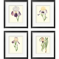 Framed Purple Irises 4 Piece Framed Art Print Set