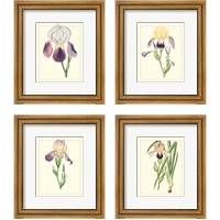Framed 'Purple Irises 4 Piece Framed Art Print Set' border=