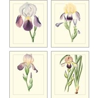 Framed 'Purple Irises 4 Piece Art Print Set' border=
