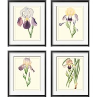 Framed Purple Irises 4 Piece Framed Art Print Set