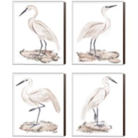 Framed 'White Heron 4 Piece Canvas Print Set' border=
