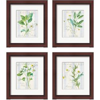 Framed Floursack Herbs 4 Piece Framed Art Print Set