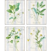 Framed 'Floursack Herbs 4 Piece Art Print Set' border=