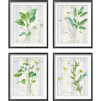 Framed 'Floursack Herbs 4 Piece Framed Art Print Set' border=