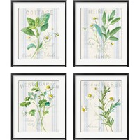 Framed Floursack Herbs 4 Piece Framed Art Print Set