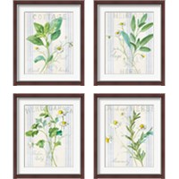Framed 'Floursack Herbs 4 Piece Framed Art Print Set' border=