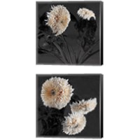 Framed Sunflowers 2 Piece Canvas Print Set