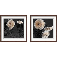 Framed 'Sunflowers 2 Piece Framed Art Print Set' border=