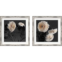 Framed 'Sunflowers 2 Piece Framed Art Print Set' border=