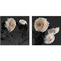 Framed 'Sunflowers 2 Piece Art Print Set' border=