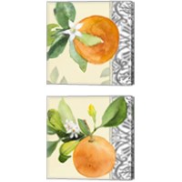 Framed 'Orange Blossoms 2 Piece Canvas Print Set' border=