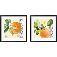 Framed Orange Blossoms 2 Piece Framed Art Print Set