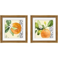 Framed 'Orange Blossoms 2 Piece Framed Art Print Set' border=
