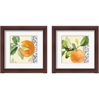 Framed Orange Blossoms 2 Piece Framed Art Print Set