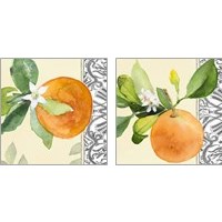 Framed 'Orange Blossoms 2 Piece Art Print Set' border=