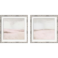 Framed 'Blush Balance 2 Piece Framed Art Print Set' border=