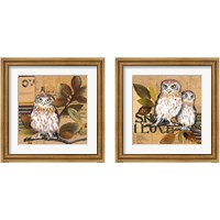 Framed Little Owls 2 Piece Framed Art Print Set