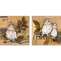 Framed Little Owls 2 Piece Art Print Set