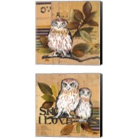 Framed 'Little Owls 2 Piece Canvas Print Set' border=