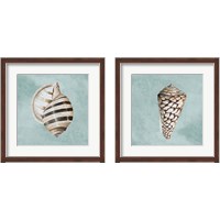 Framed Modern Shell on Teal 2 Piece Framed Art Print Set
