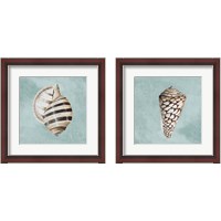 Framed 'Modern Shell on Teal 2 Piece Framed Art Print Set' border=