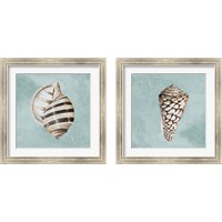 Framed Modern Shell on Teal 2 Piece Framed Art Print Set