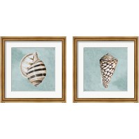 Framed 'Modern Shell on Teal 2 Piece Framed Art Print Set' border=