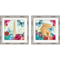 Framed Belles Fleurs a Paris 2 Piece Framed Art Print Set