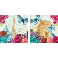 Framed Belles Fleurs a Paris 2 Piece Art Print Set