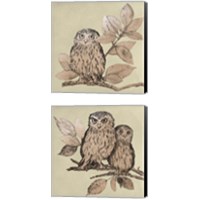 Framed 'Neutral Little Owls 2 Piece Canvas Print Set' border=
