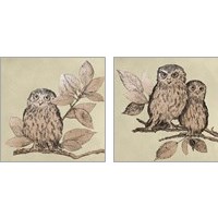 Framed Neutral Little Owls 2 Piece Art Print Set