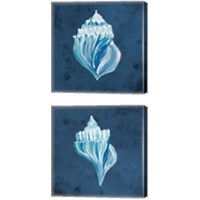 Framed Azul Dotted Seashell on Navy 2 Piece Canvas Print Set