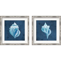 Framed 'Azul Dotted Seashell on Navy 2 Piece Framed Art Print Set' border=