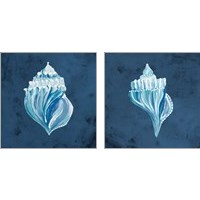 Framed Azul Dotted Seashell on Navy 2 Piece Art Print Set