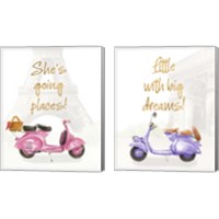 Framed She's Going Places 2 Piece Canvas Print Set